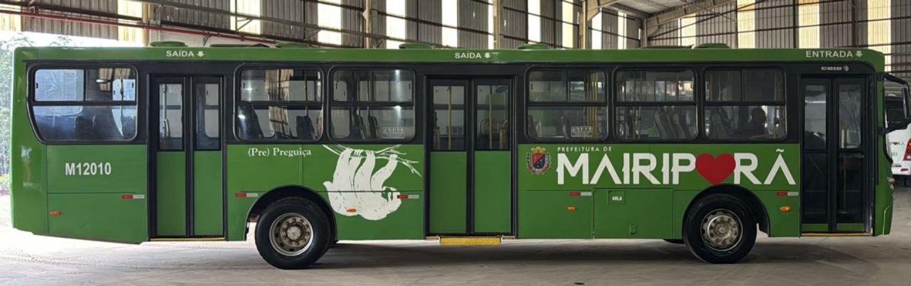 Mercedes-Benz Caio Apache Vip 1721 2012/2012